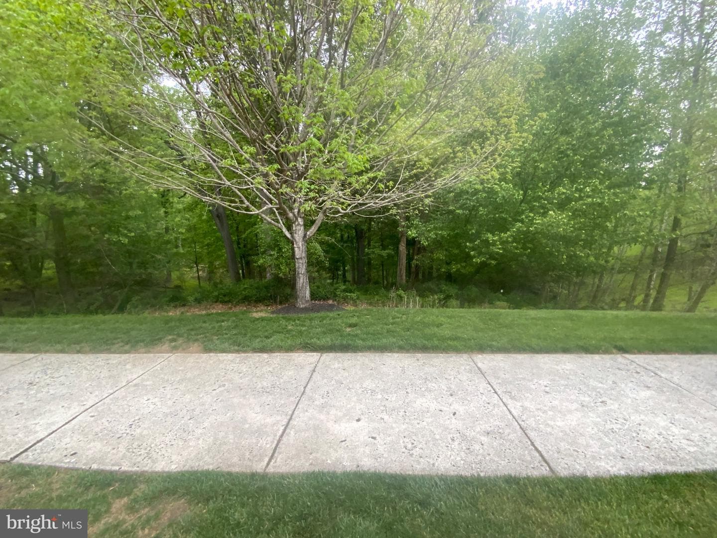 7201 Travertine Drive #201 photo 67