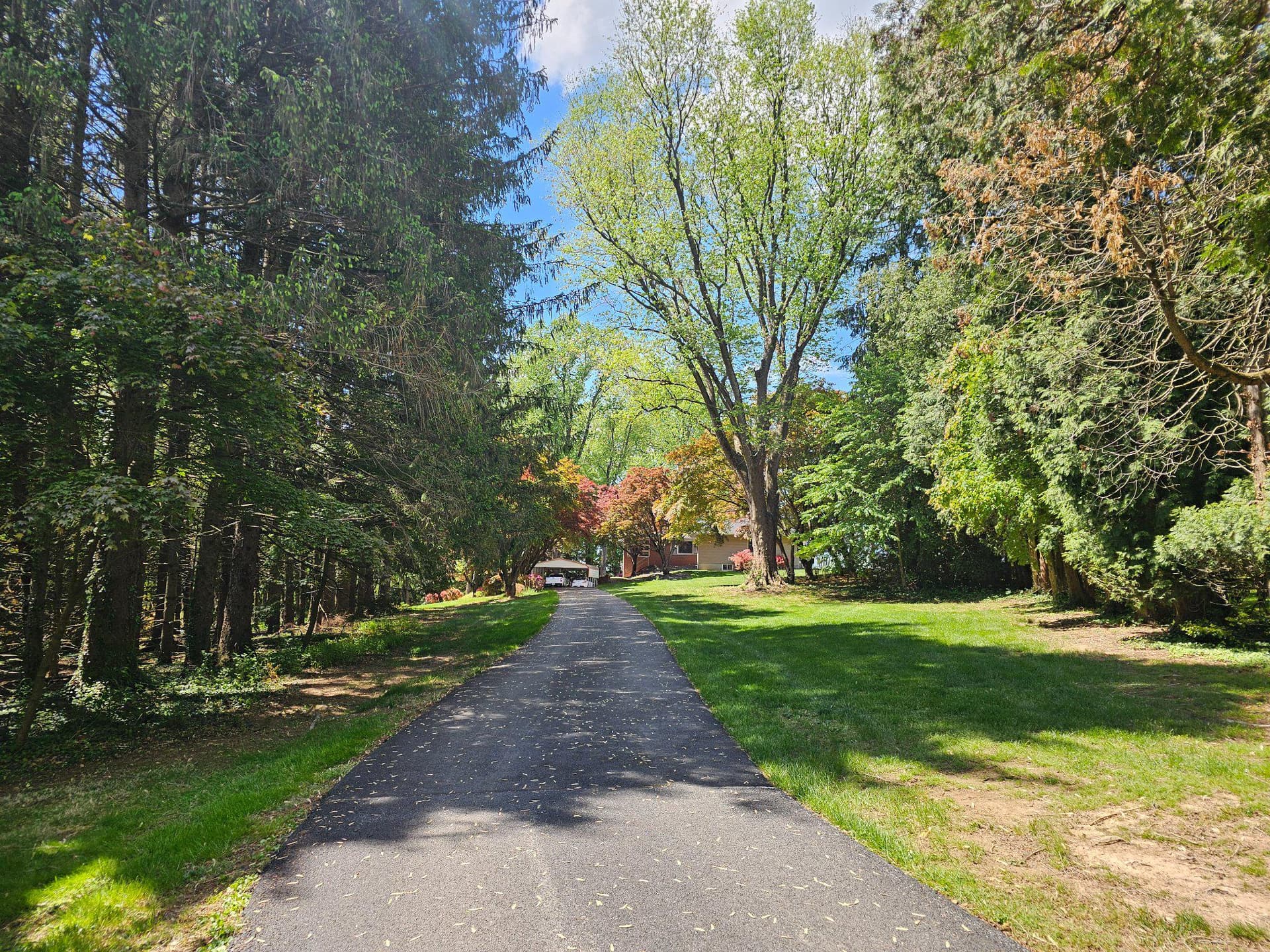 4619 Long Green Road photo 61