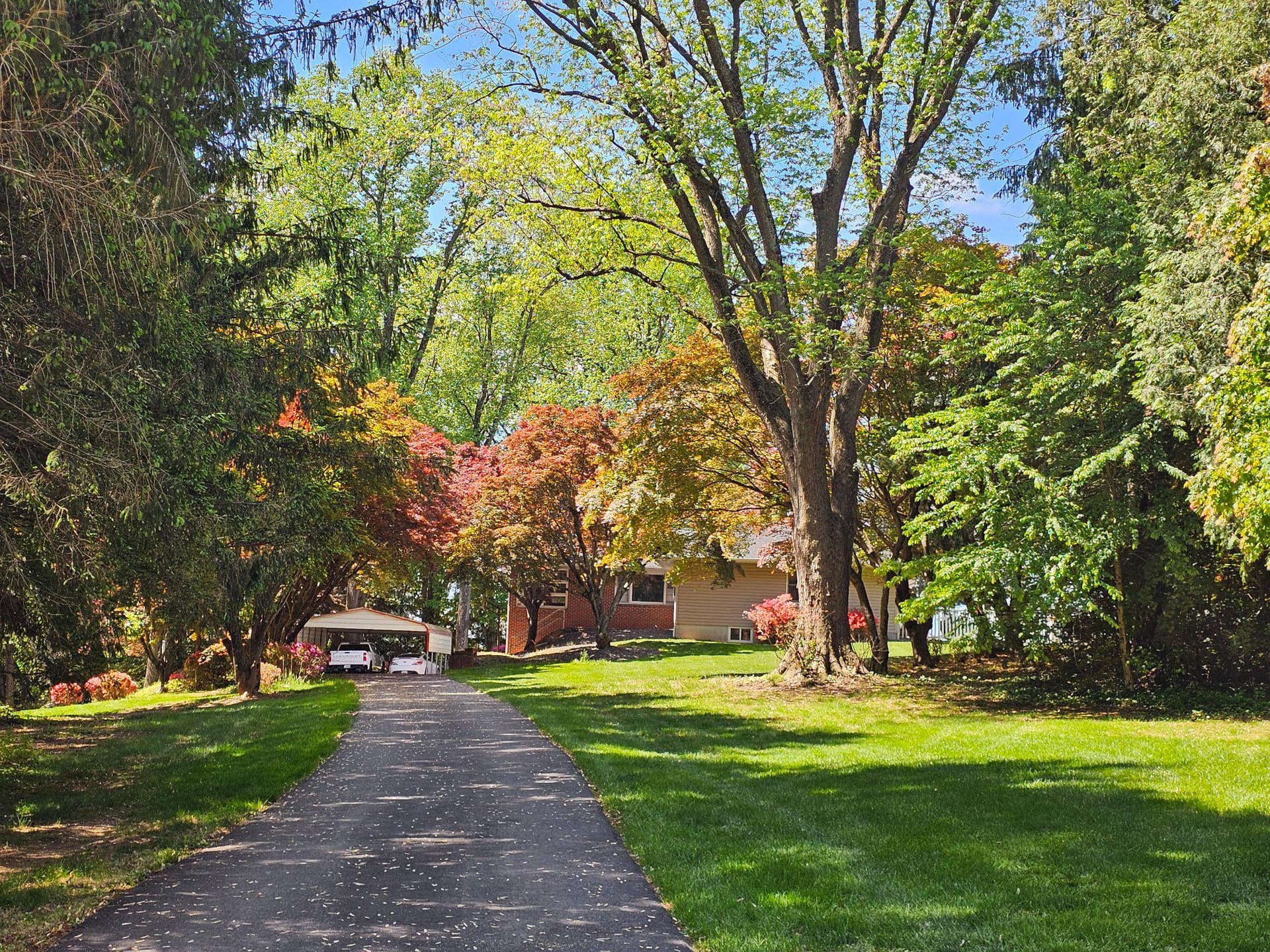 4619 Long Green Road photo 9