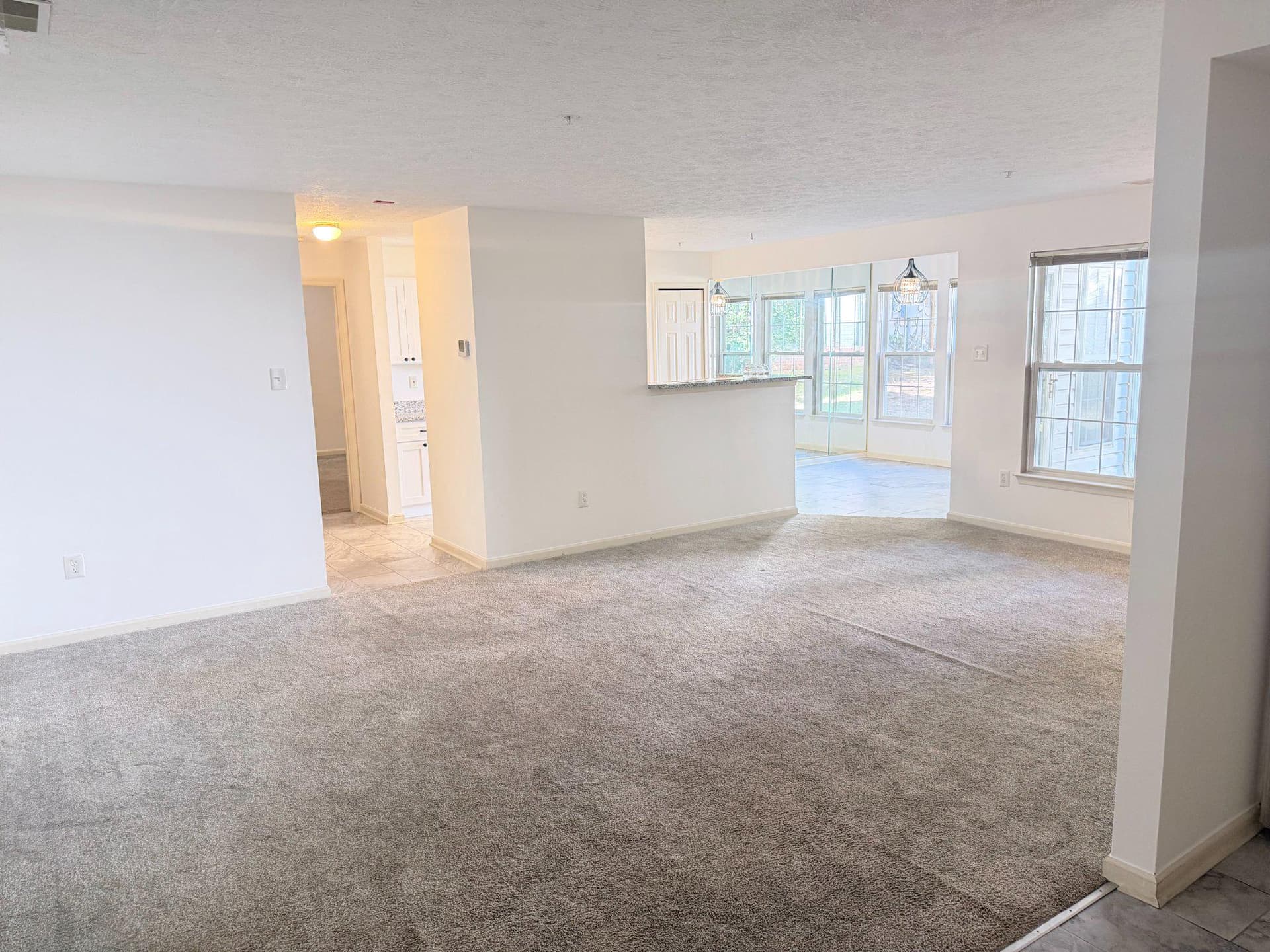 9713 Reese Farm Road #9713 photo 4