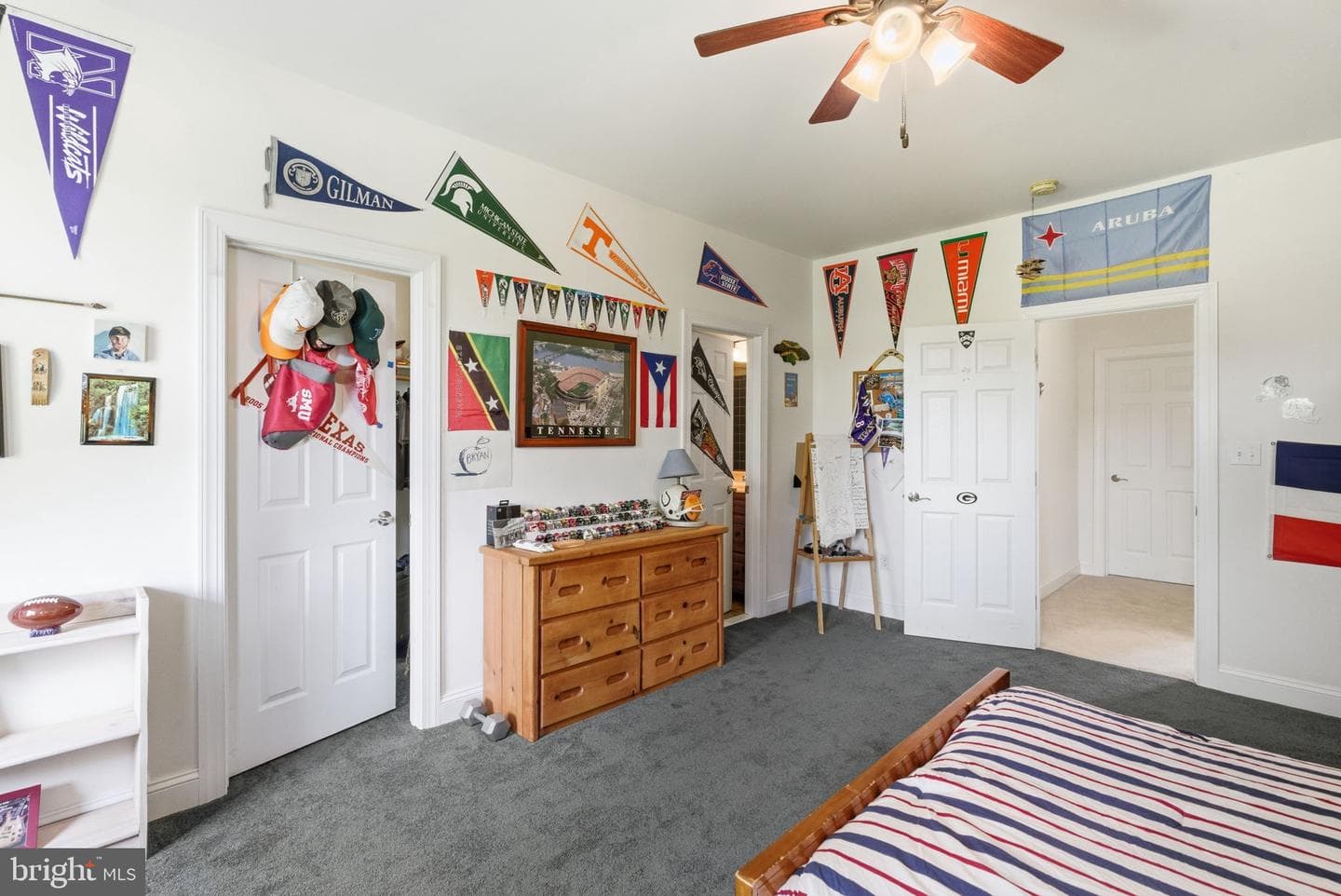 9 Deer Ridge Court photo 65
