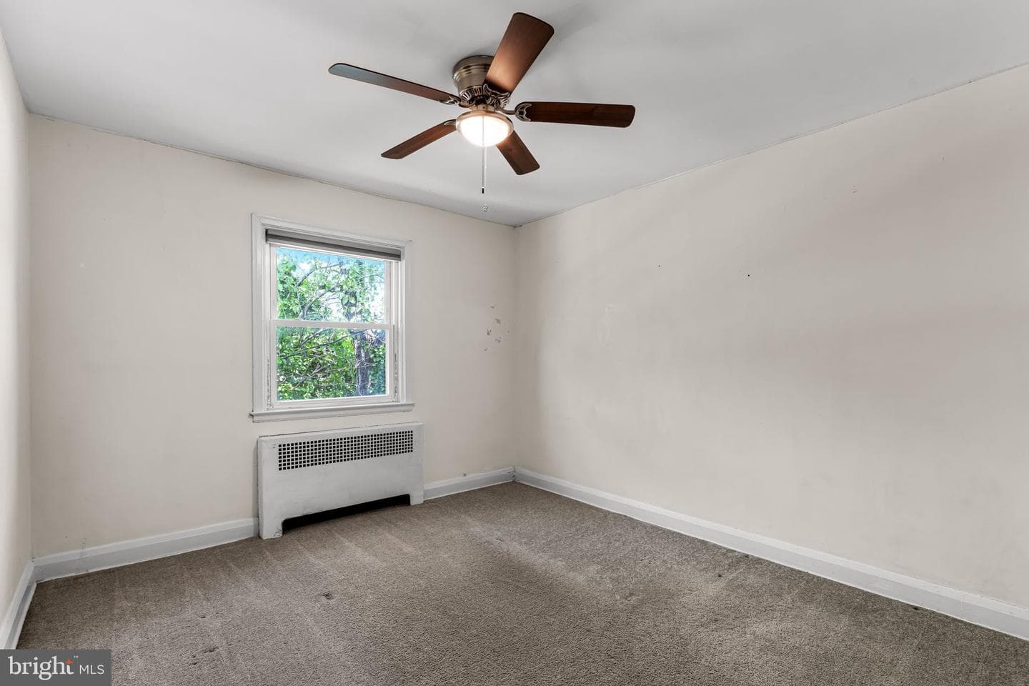 104 Westowne Road photo 22