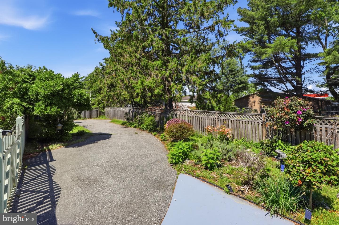 2304 Poplar photo 16