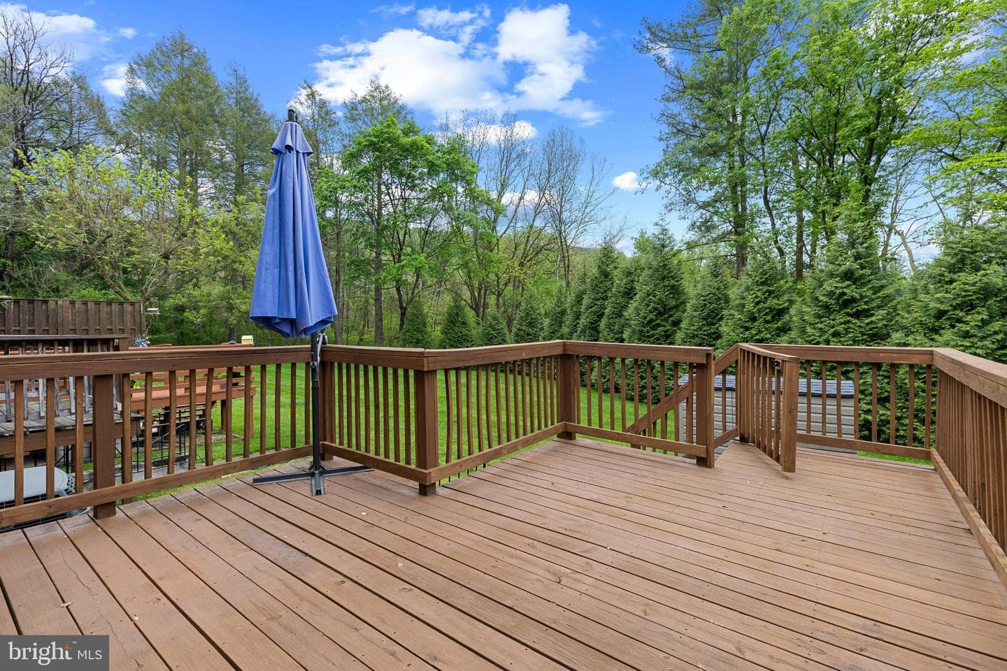 61 Cherrywood Court photo 30