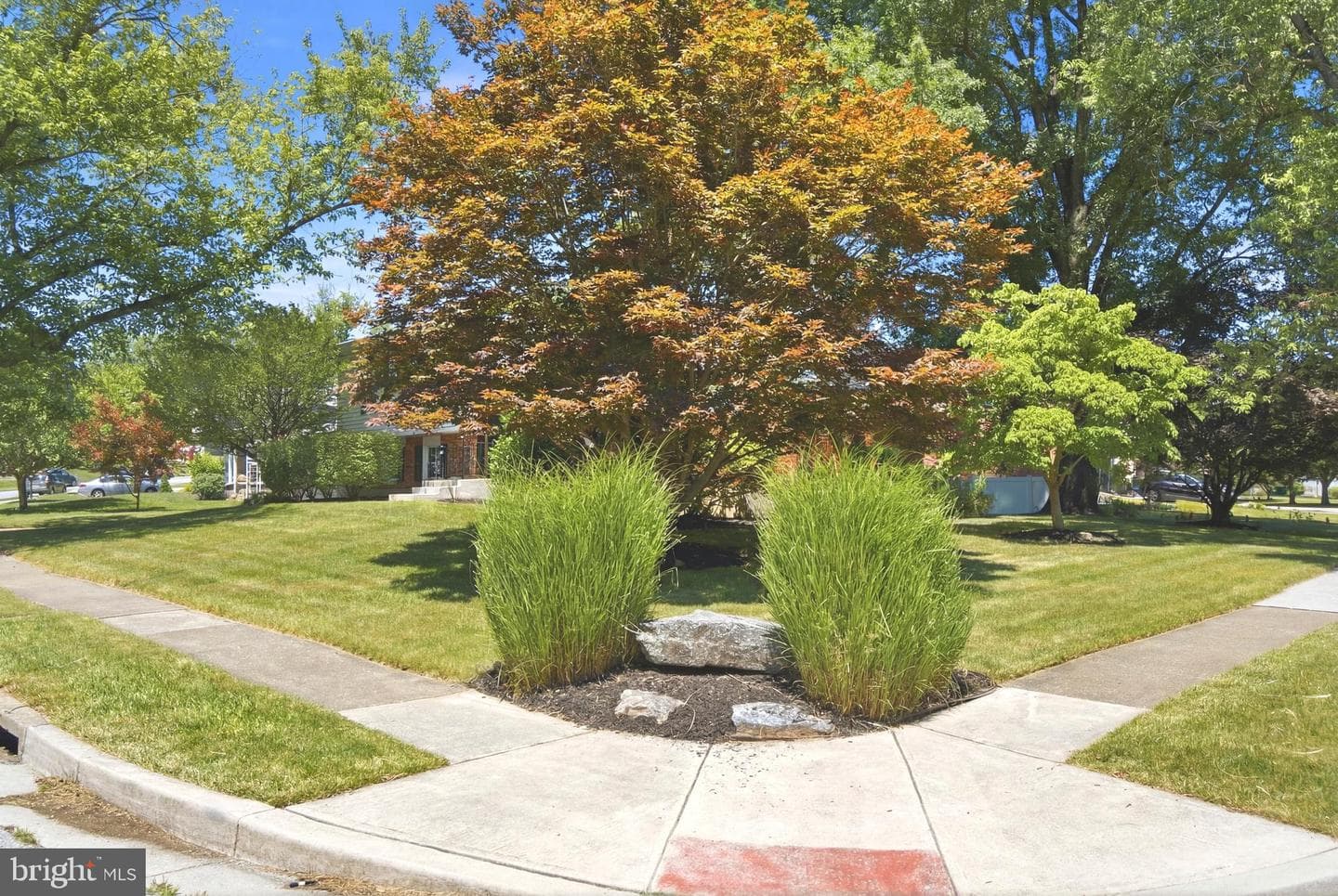 220 Solway Road photo 37