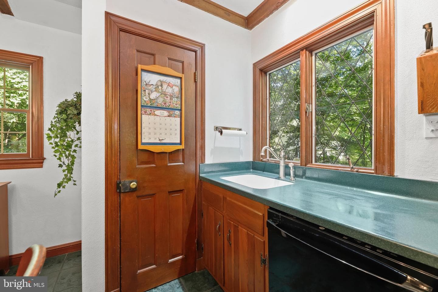3903 Dance Mill Road photo 22