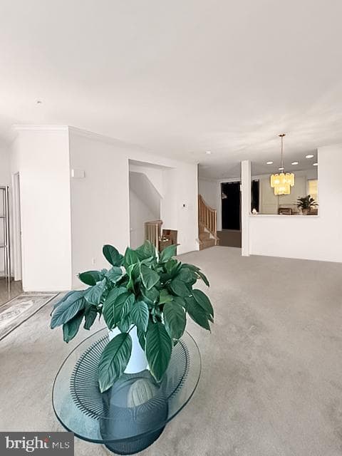 9228 Owings Choice Court photo 19
