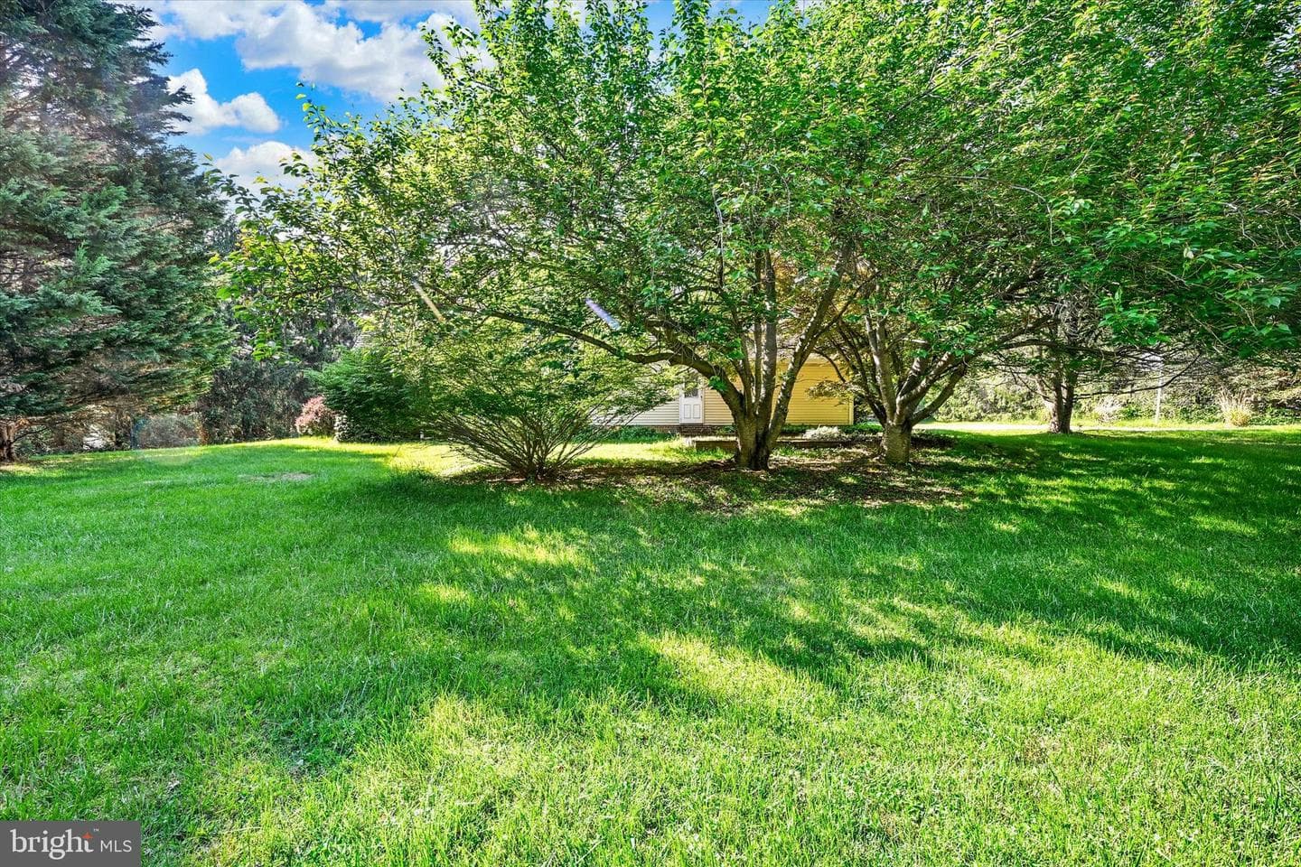 7 Quail Wood Court photo 36
