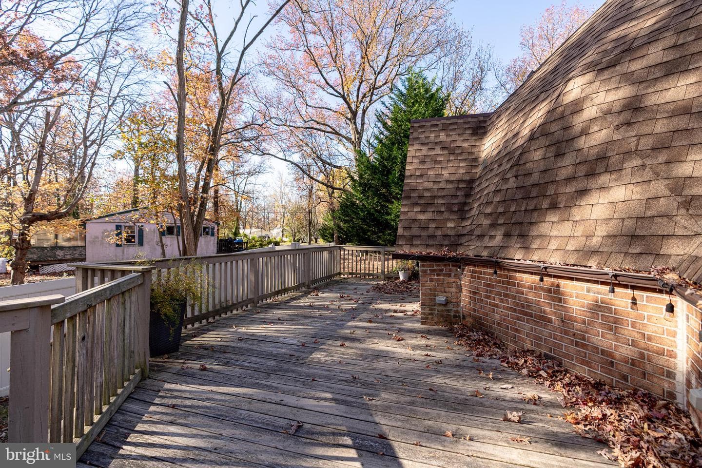 811 Cedar Avenue photo 25