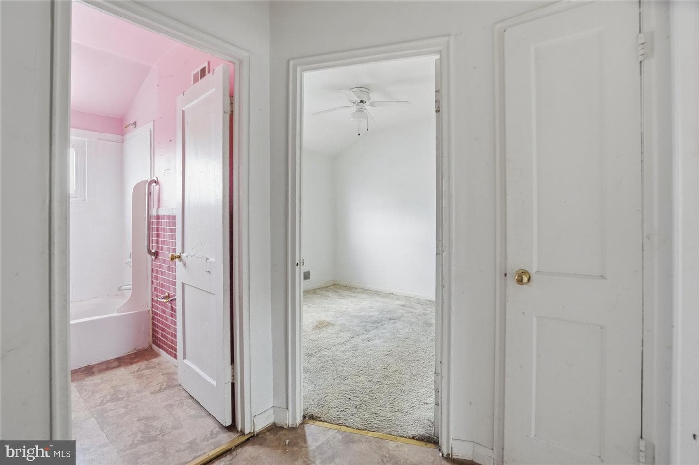 1903 Ormand Road photo 11