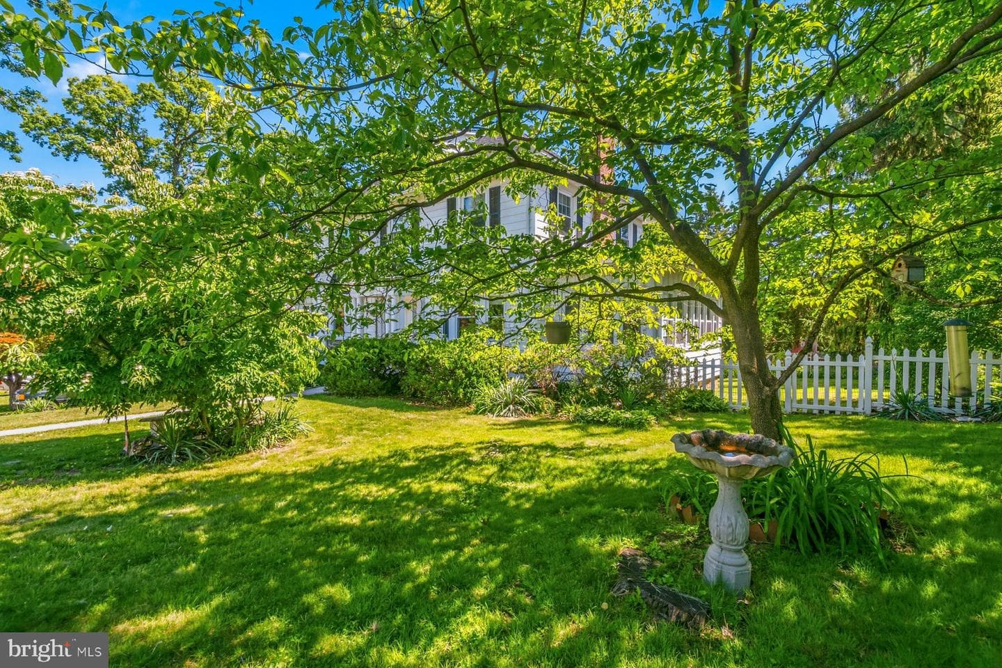 121 Forest Avenue photo 2