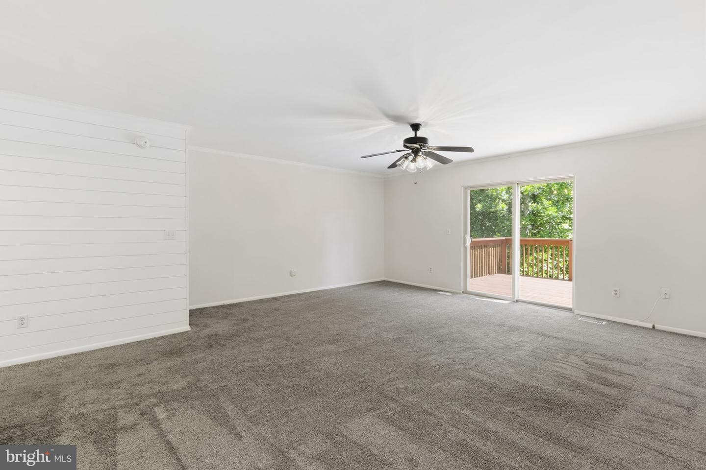 18 Campton Court photo 2