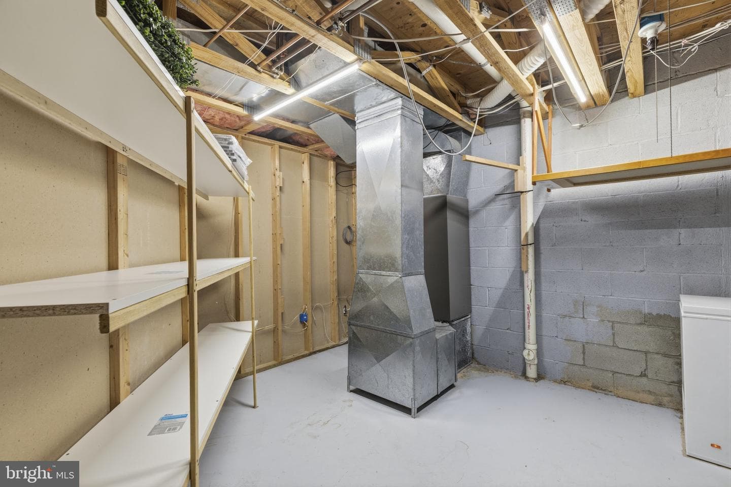 18 Campton Court photo 28