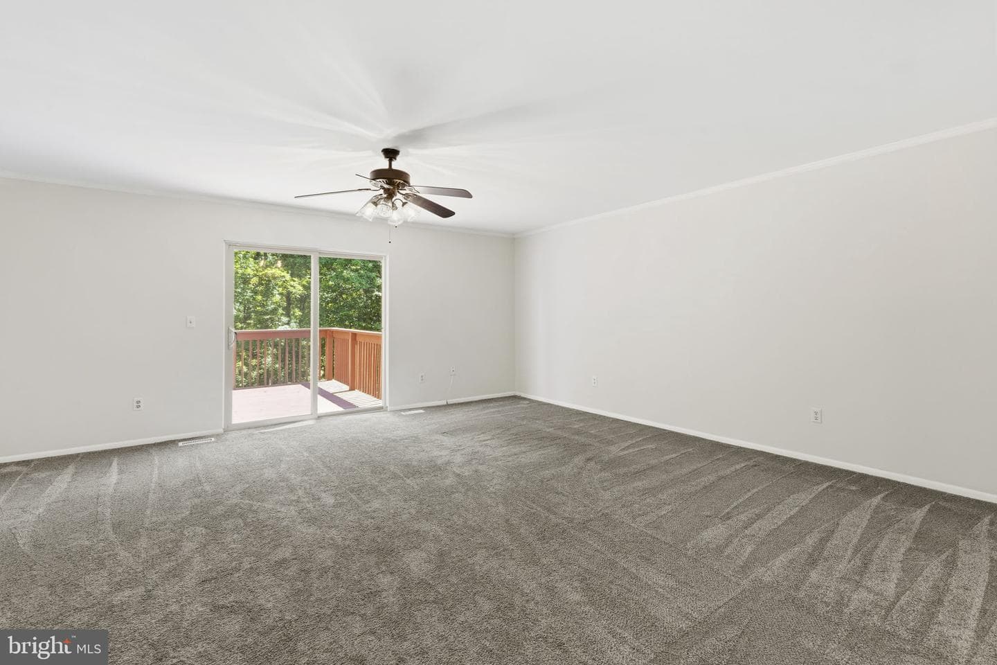 18 Campton Court photo 5