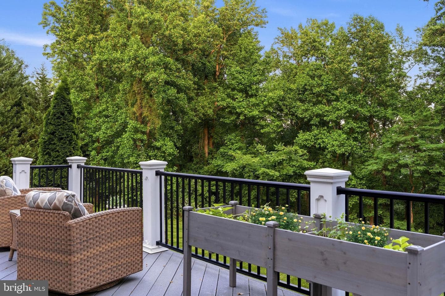 1123 Saddle Creek Court photo 9