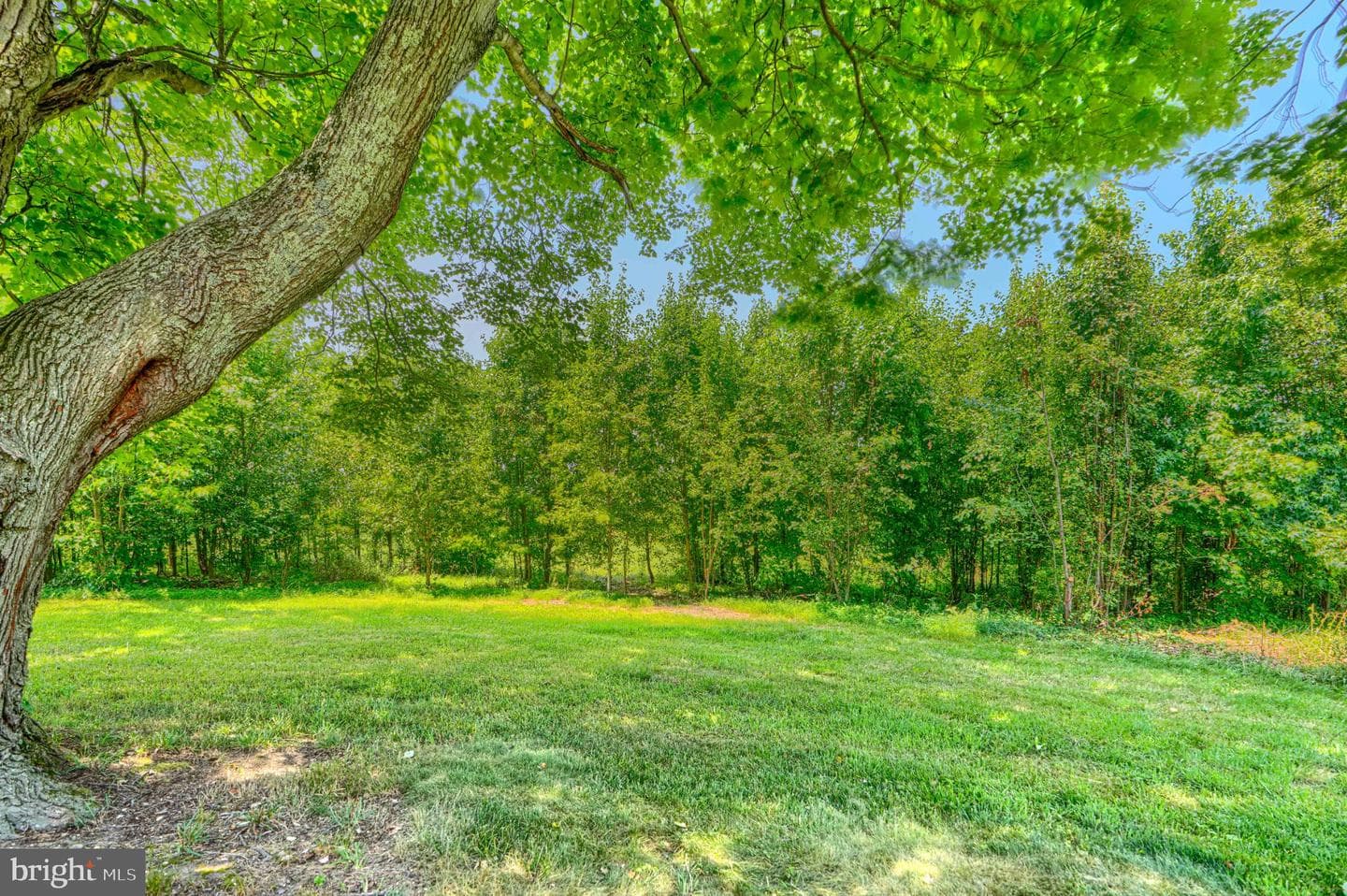 9310 Glen Vista Road photo 59