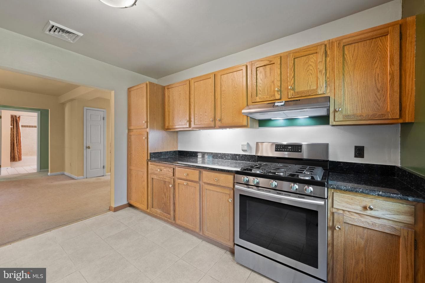 29 Maple Avenue photo 16