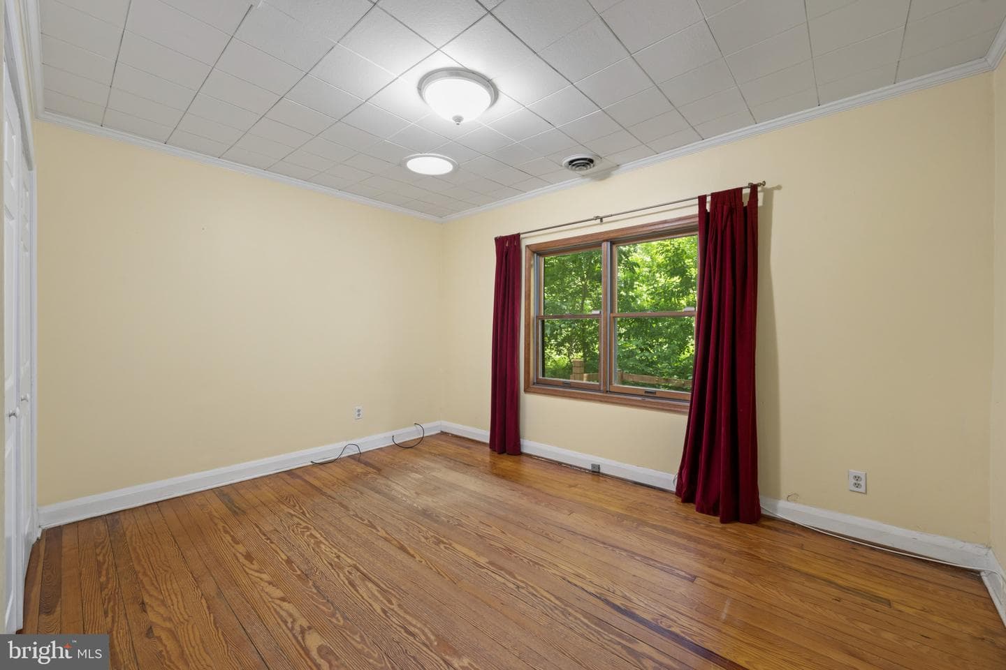 29 Maple Avenue photo 22