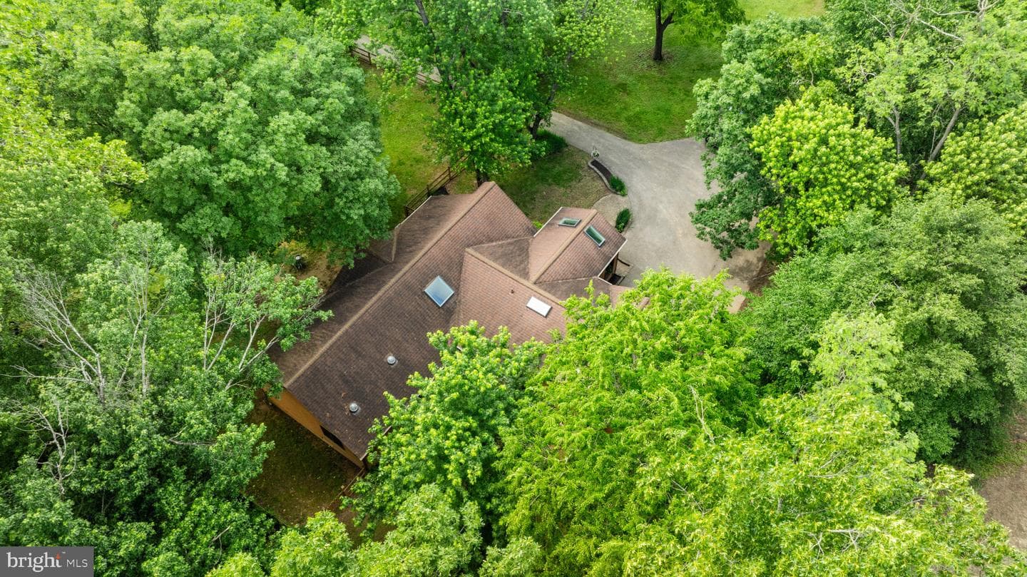 29 Maple Avenue photo 36