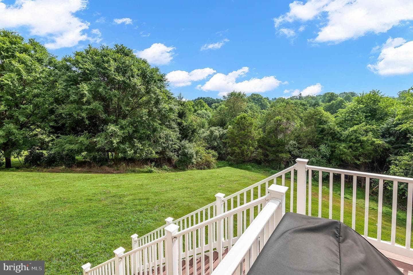 14513 Ventry Farm Court photo 10