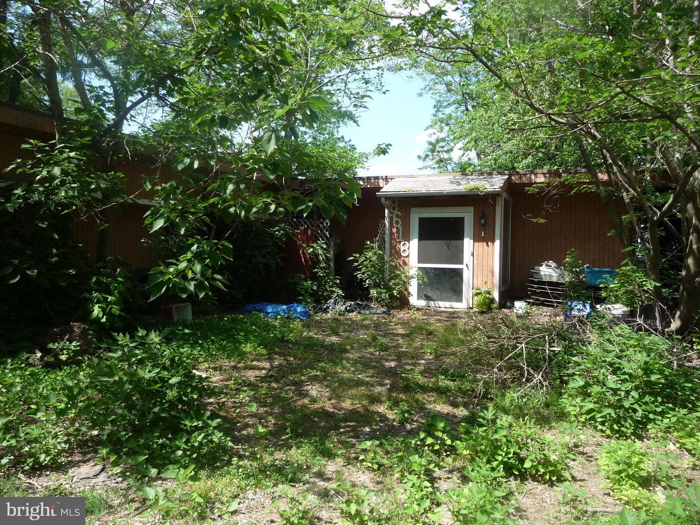 8618 Sandy Plains Rd photo 3