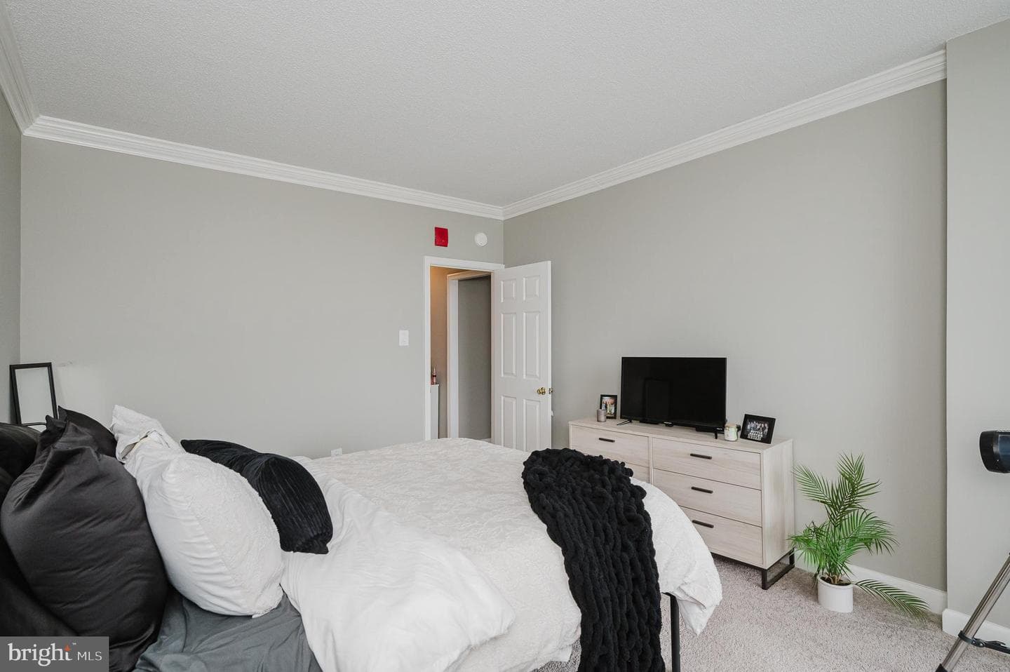 28 Allegheny Avenue #1512 photo 32