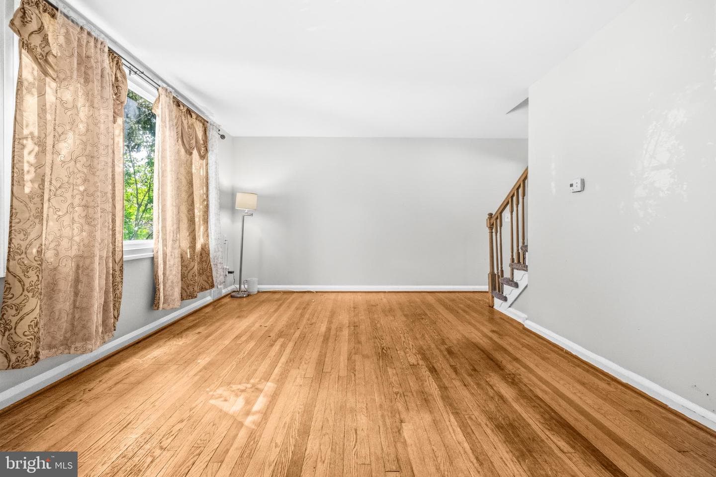 1713 Stella Court photo 4