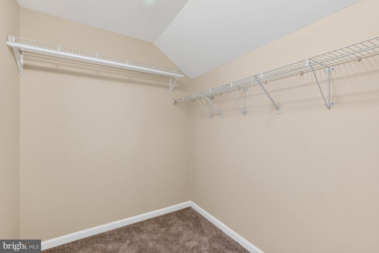 224 Ritterslea Ct photo 29
