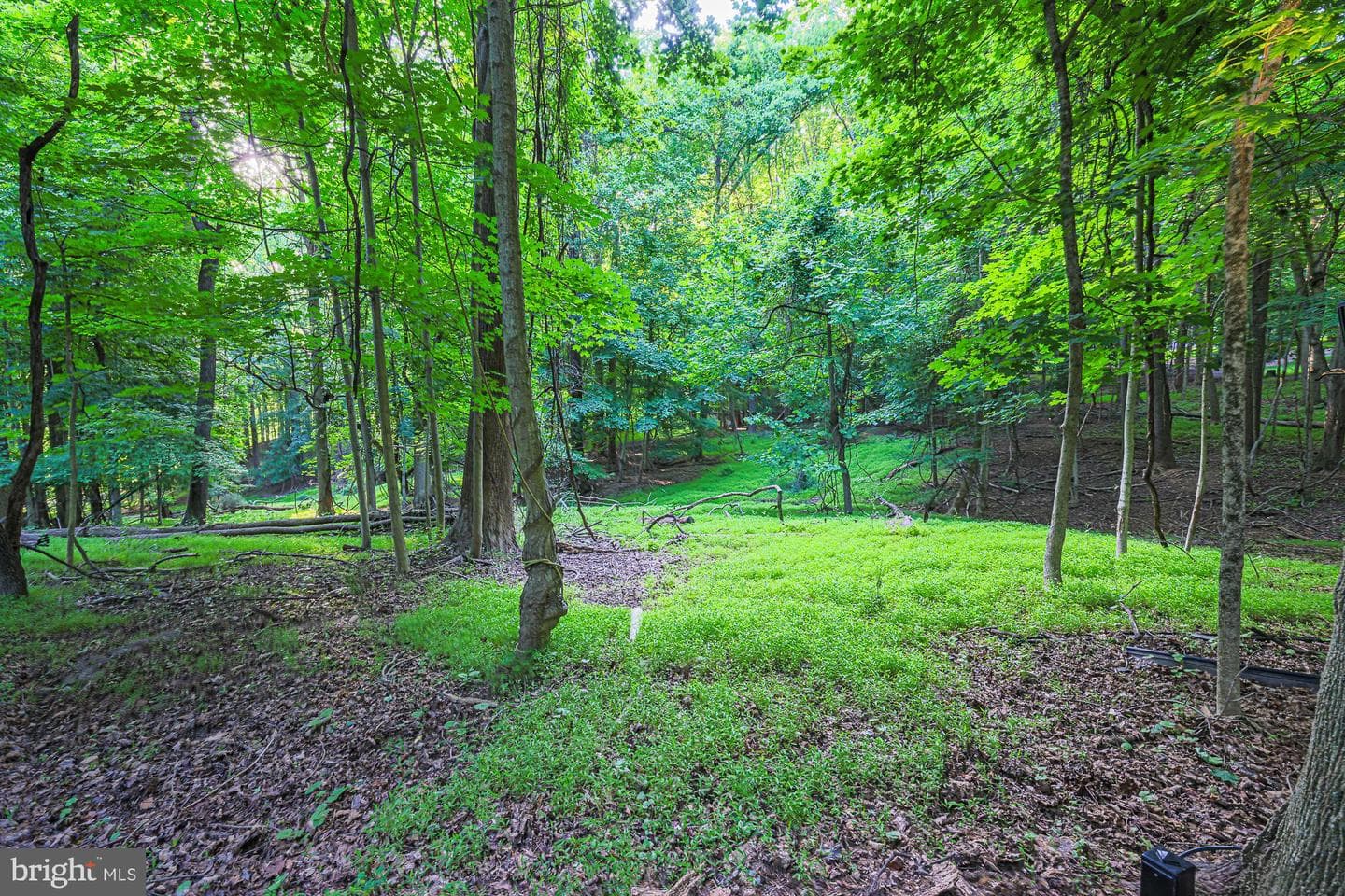 17 Montvieu Court photo 47