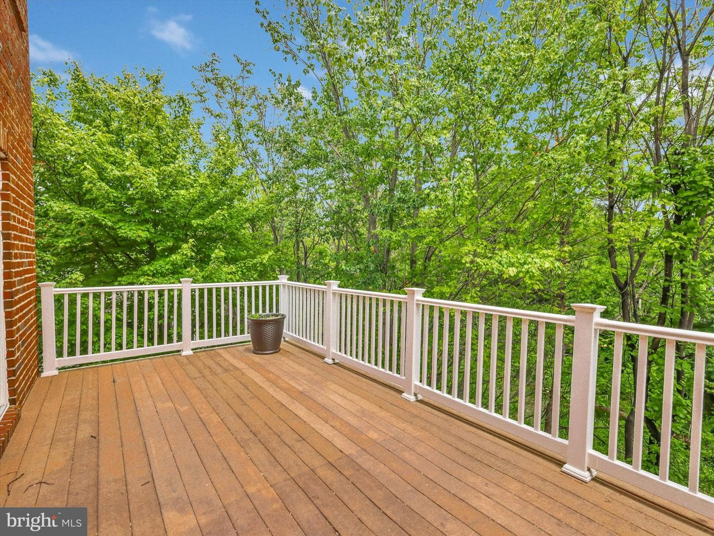5 Johnsborough Court photo 40