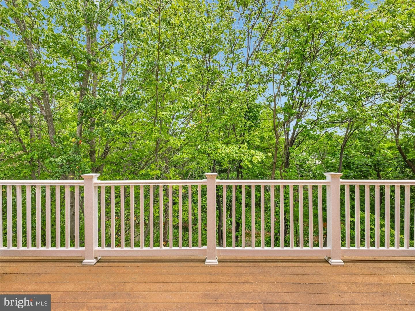 5 Johnsborough Court photo 41