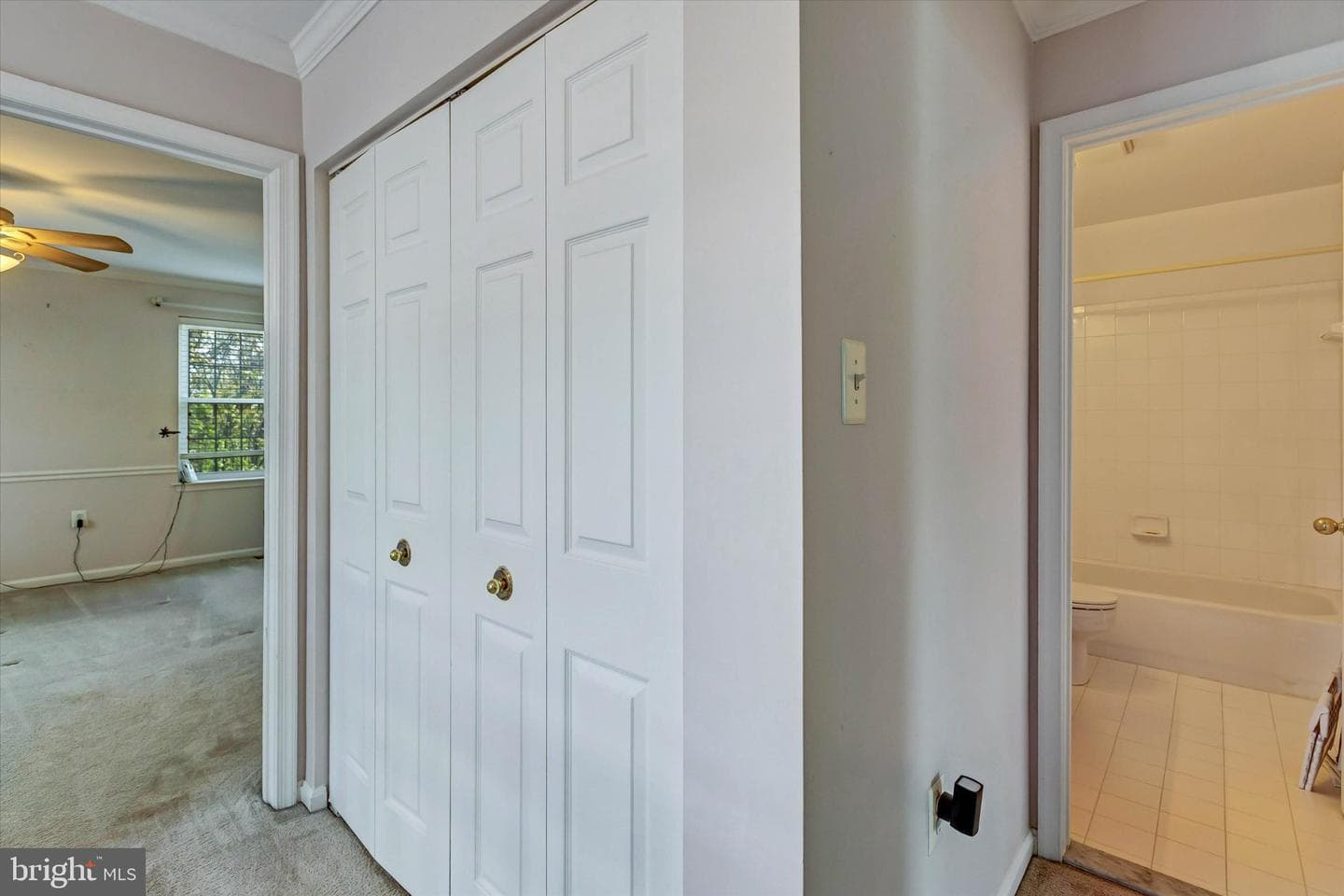 5 Johnsborough Court photo 43
