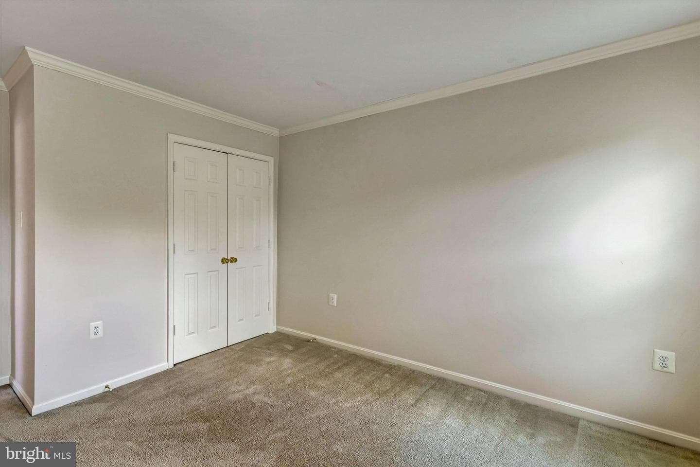 5 Johnsborough Court photo 60