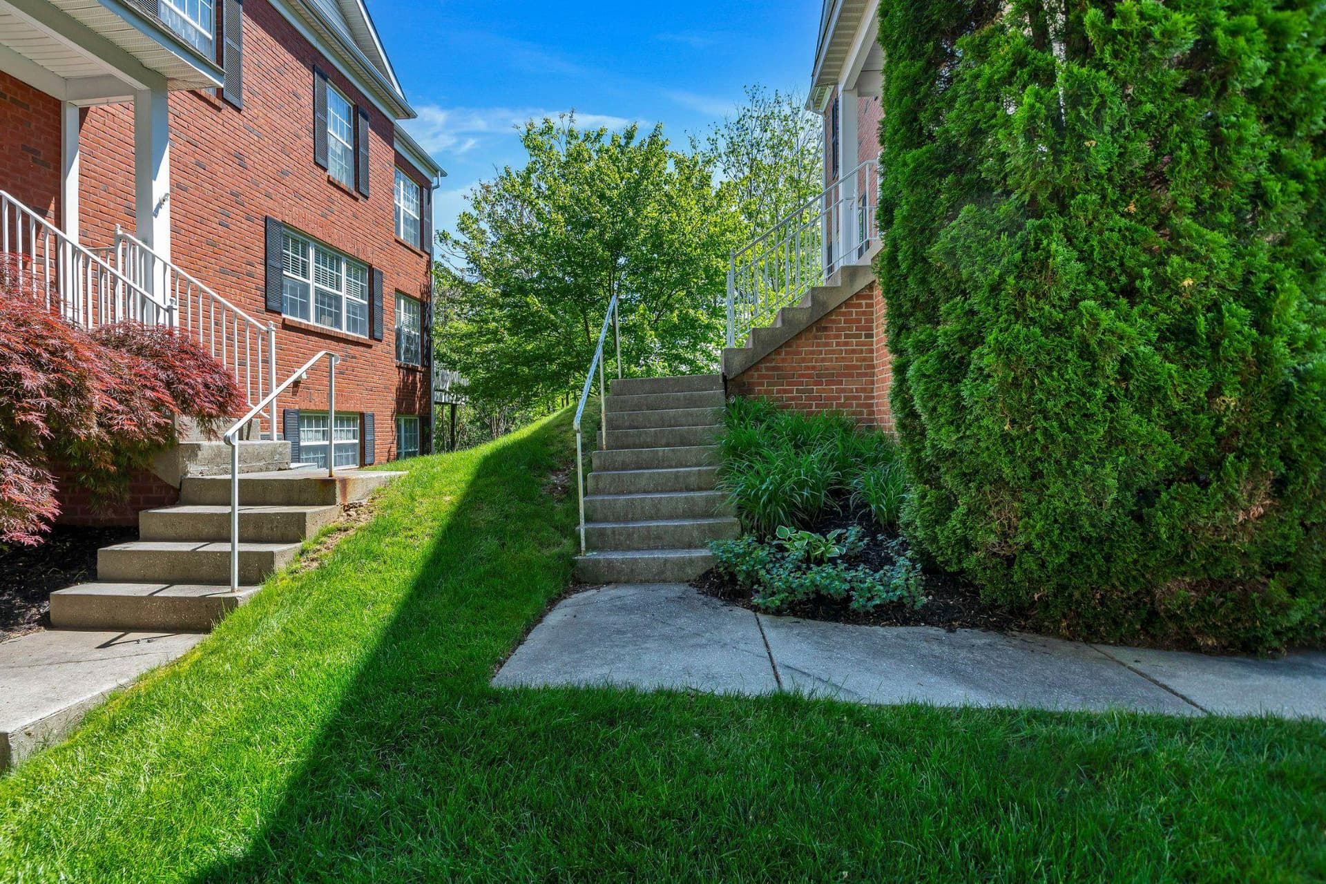 5 Johnsborough Court photo 92