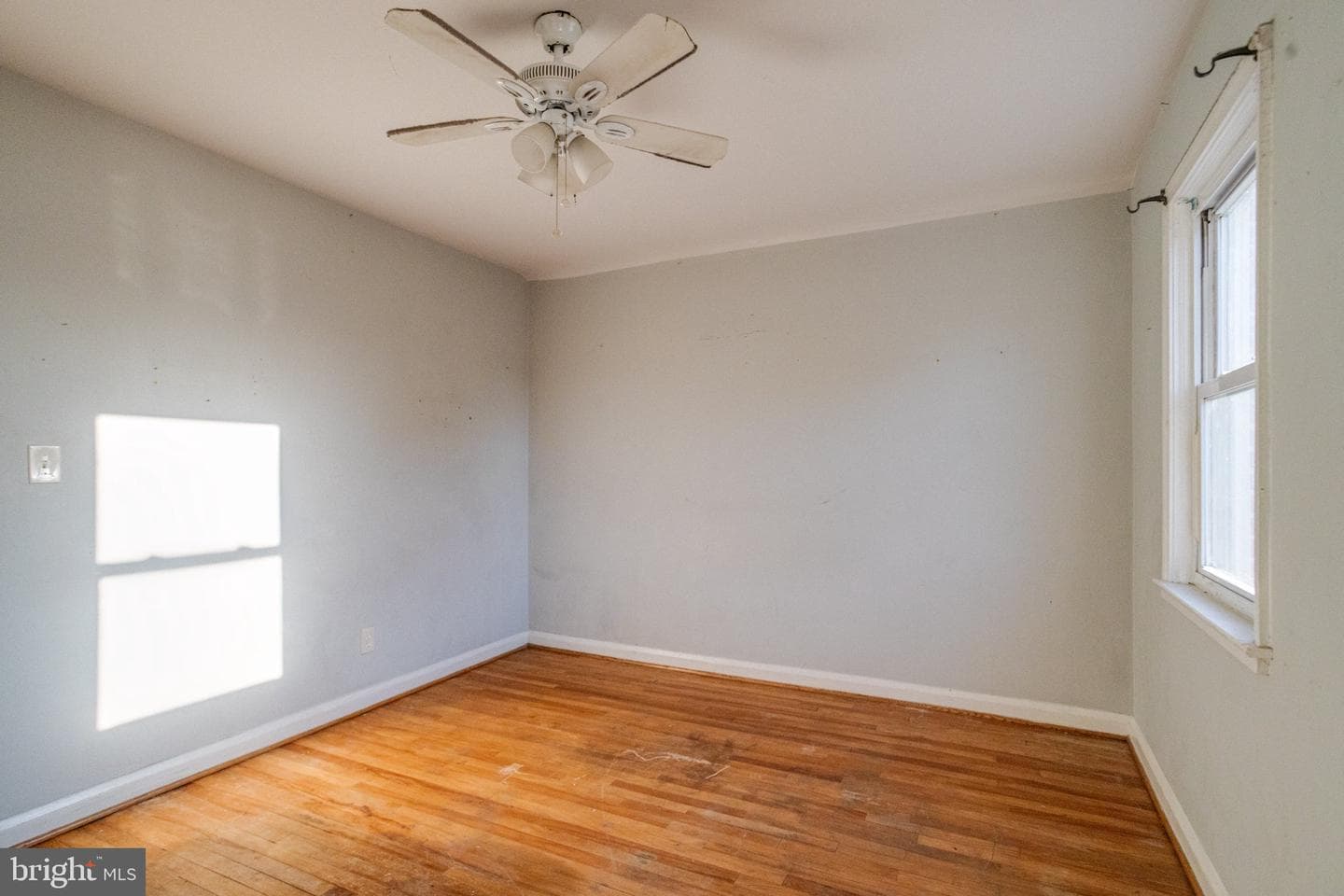 3569 Mcshane Way photo 19