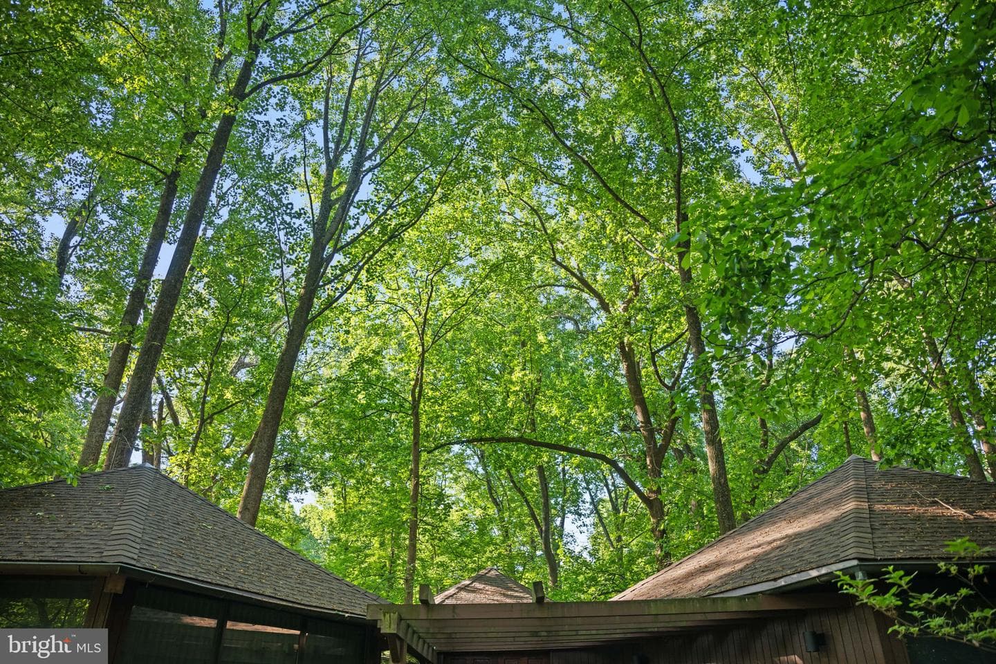 2707 Caves Road photo 76