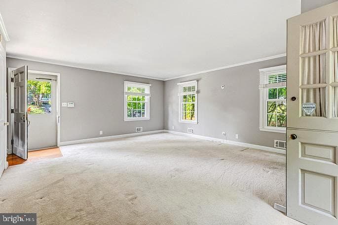302 Dixie Drive photo 29