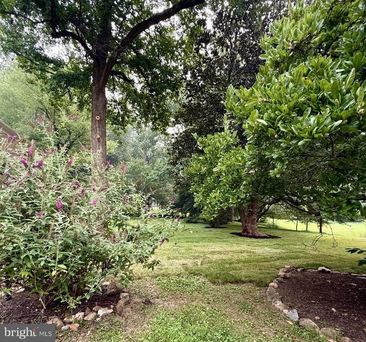 13001 Dulaney Valley Road photo 55