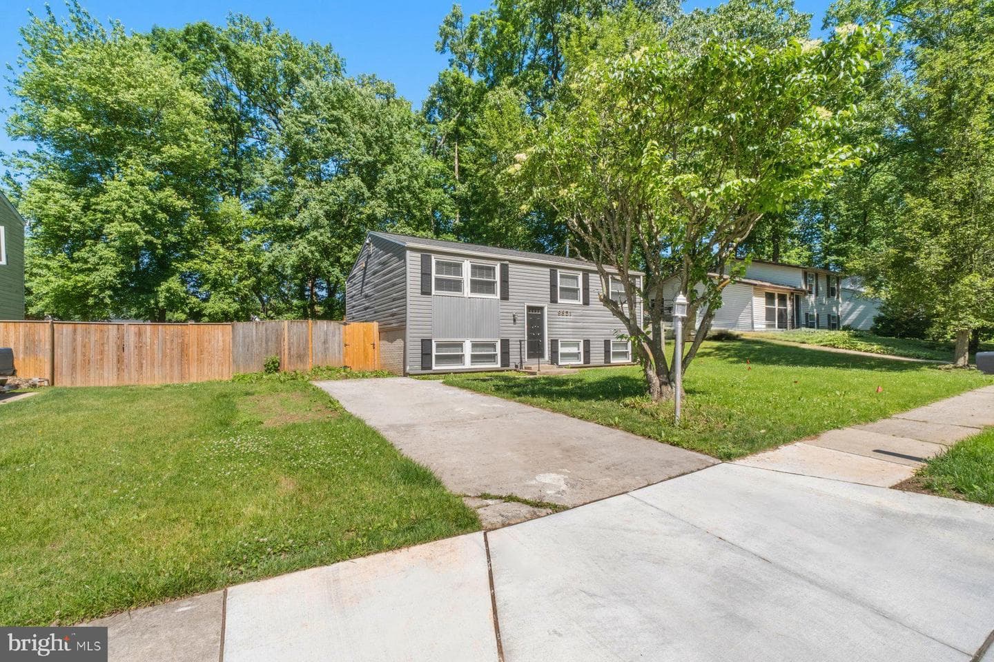 9851 Branchleigh Road photo 6