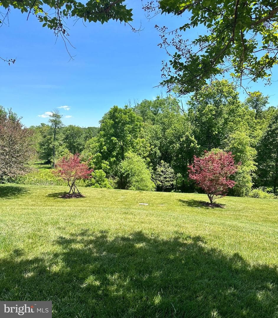 8801 Stone Ridge Circle #201 photo 3