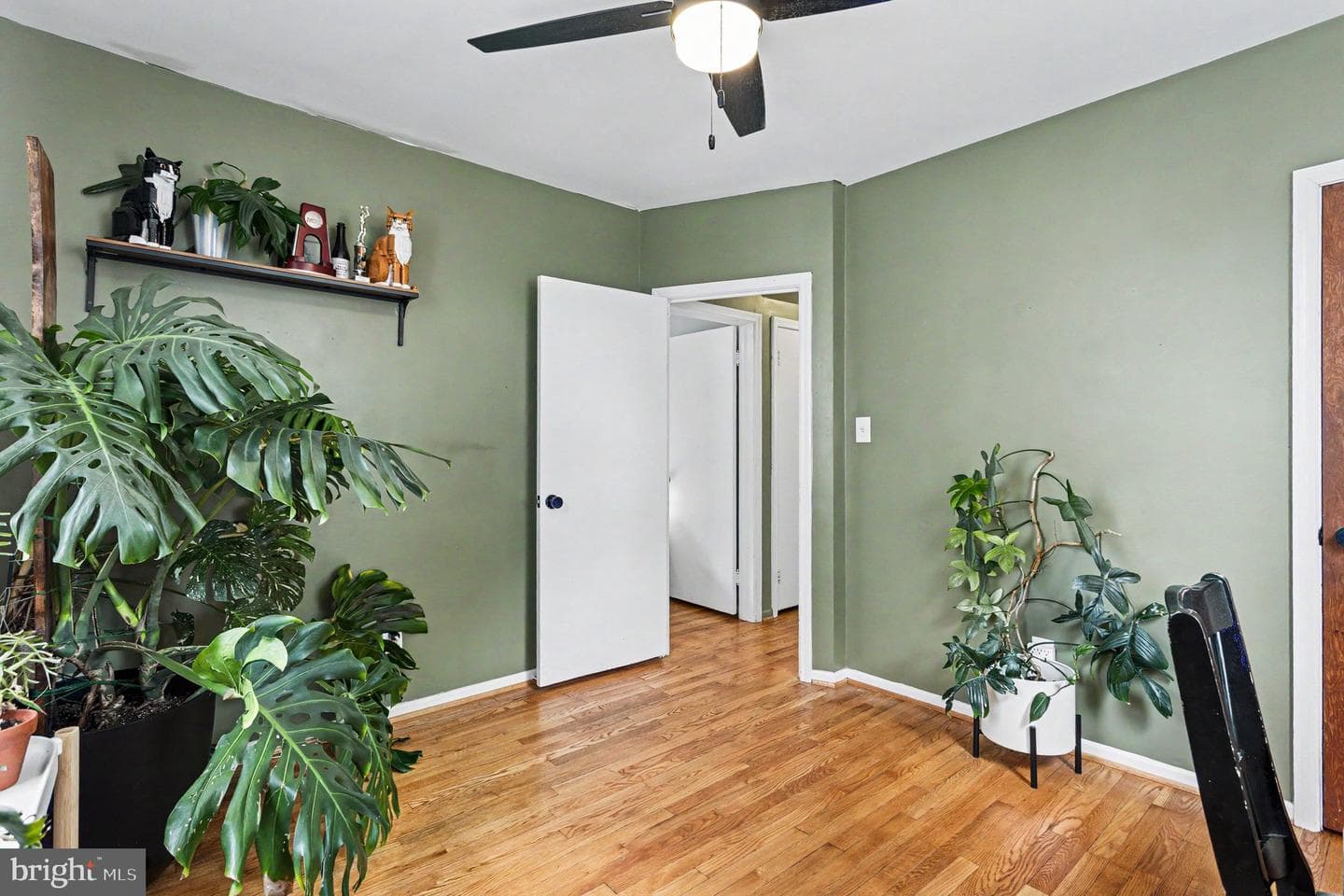 209 Linhigh Avenue photo 8