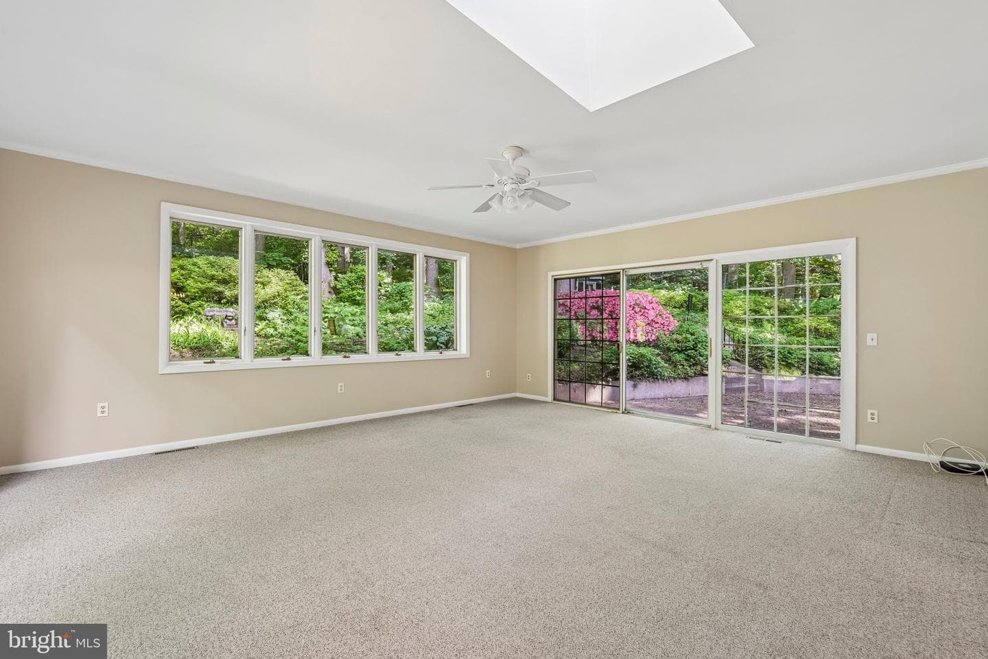 11124 Old Carriage Road photo 15
