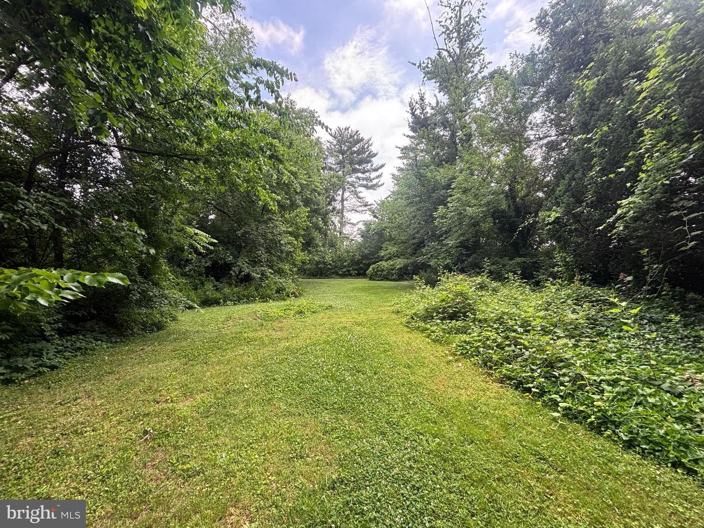 1610 Cottage Lane photo 25