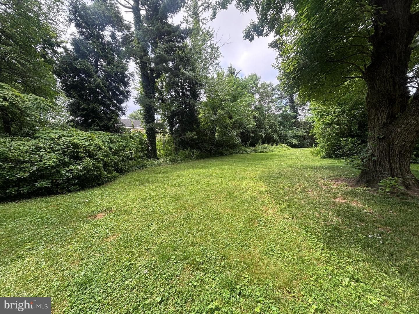 1610 Cottage Lane photo 26