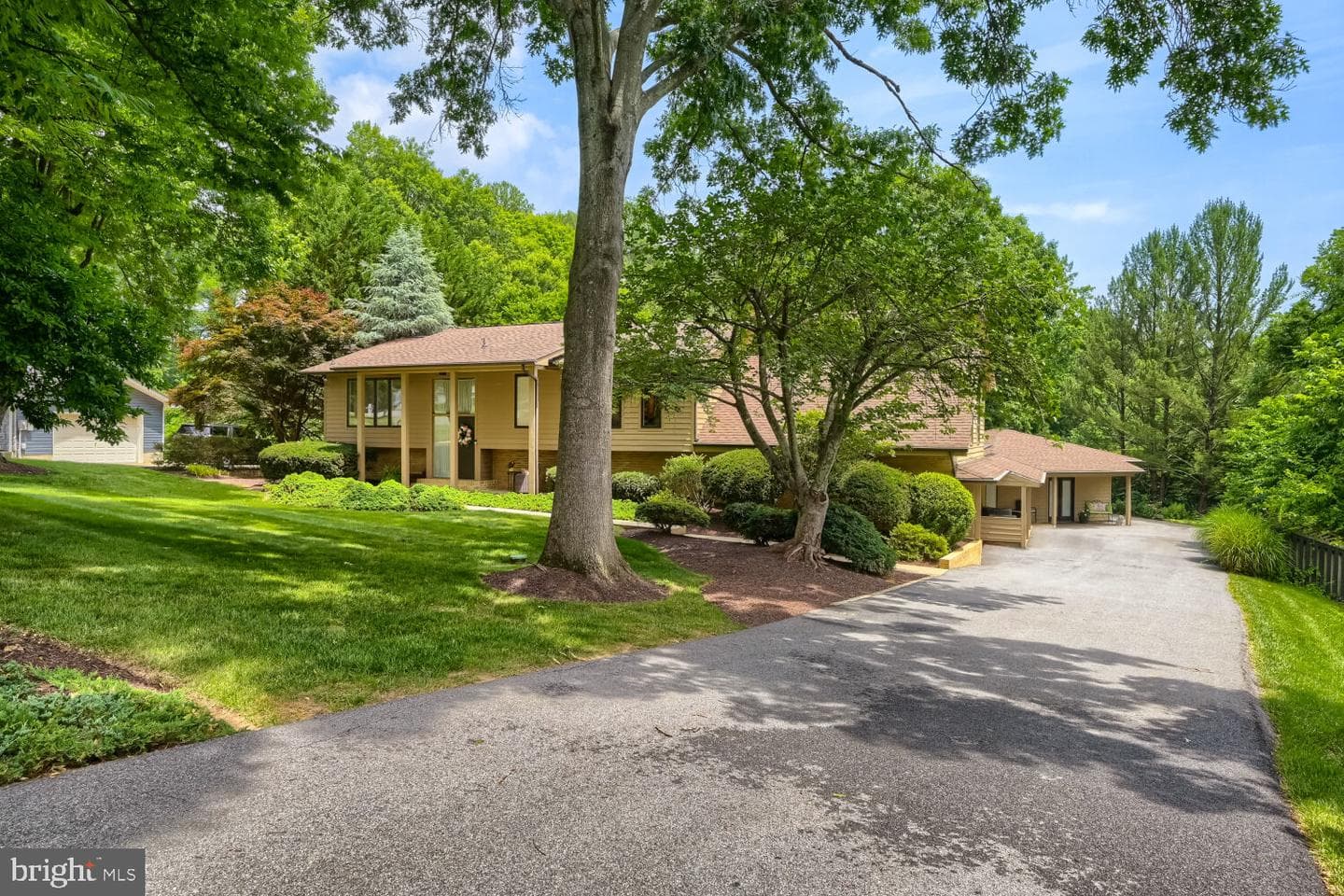 8023 Yellowstone Road photo 6