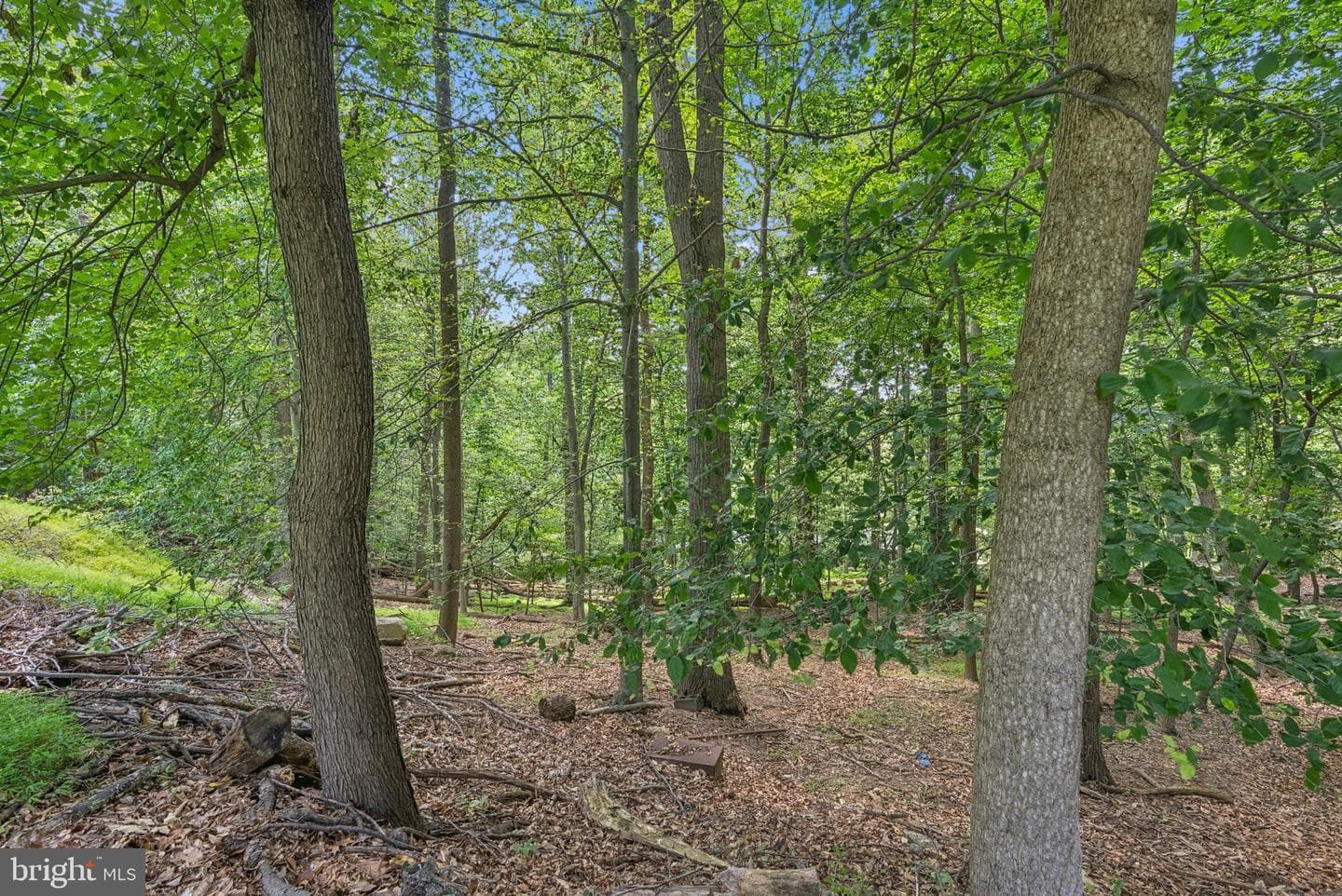 1316 Providence Road photo 33