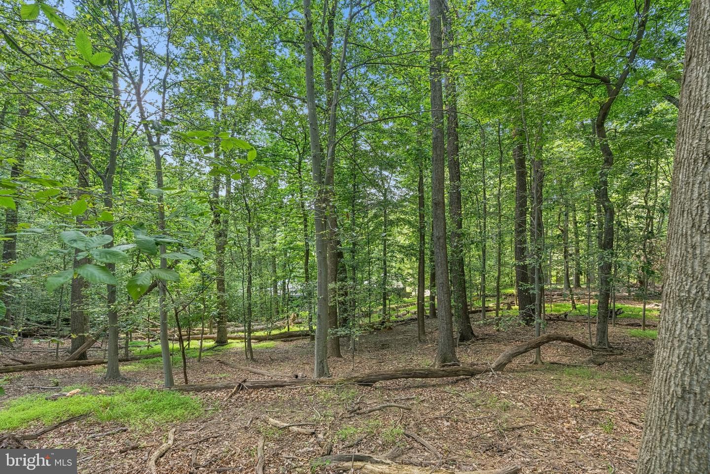 1316 Providence Road photo 34
