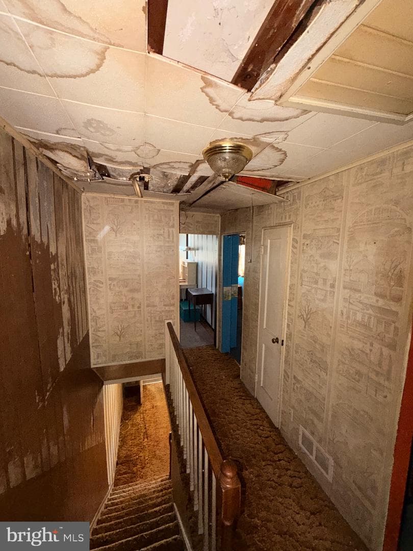 136 Kingston Road photo 5