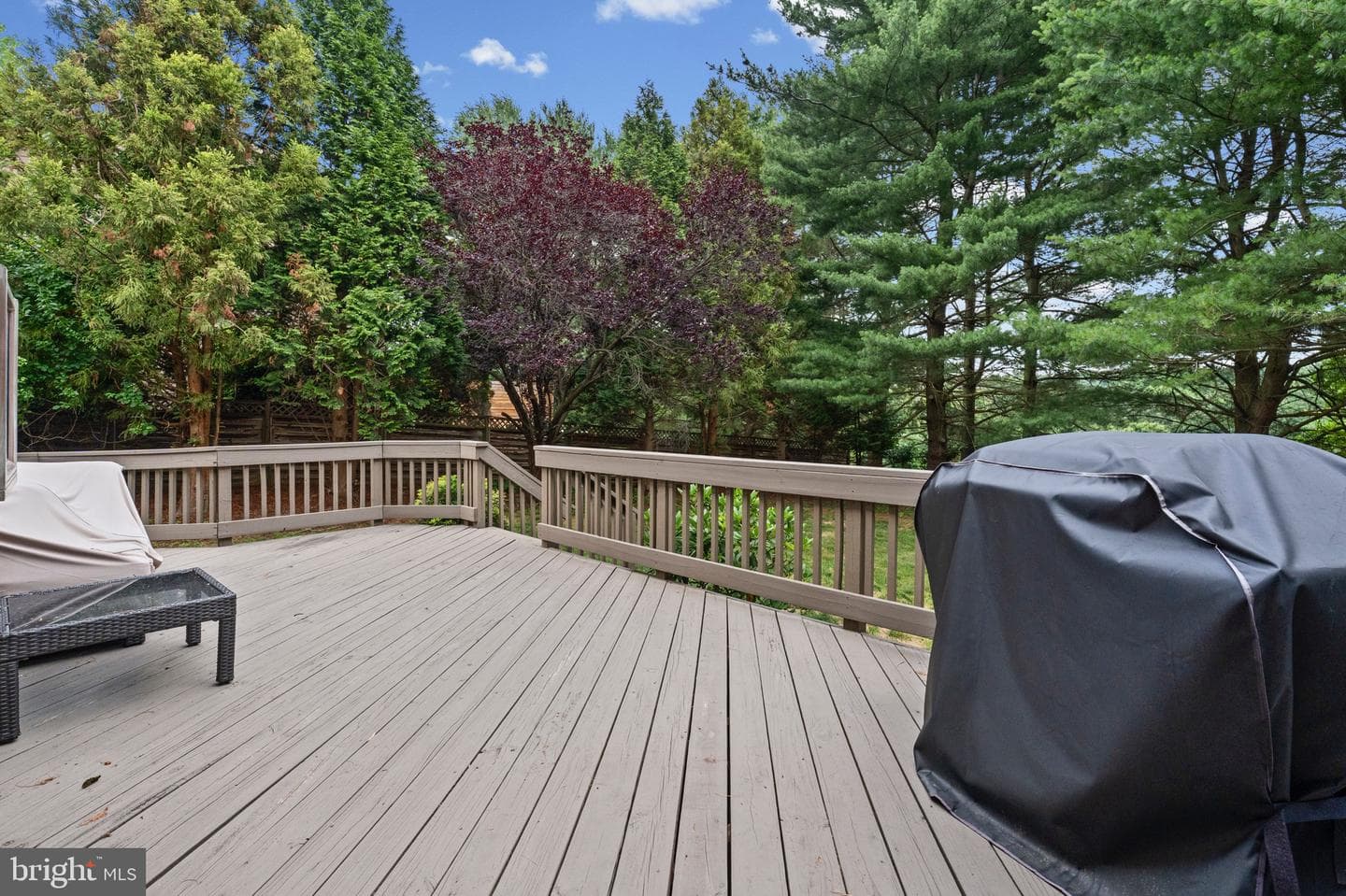 3 Oak Hill Court photo 36