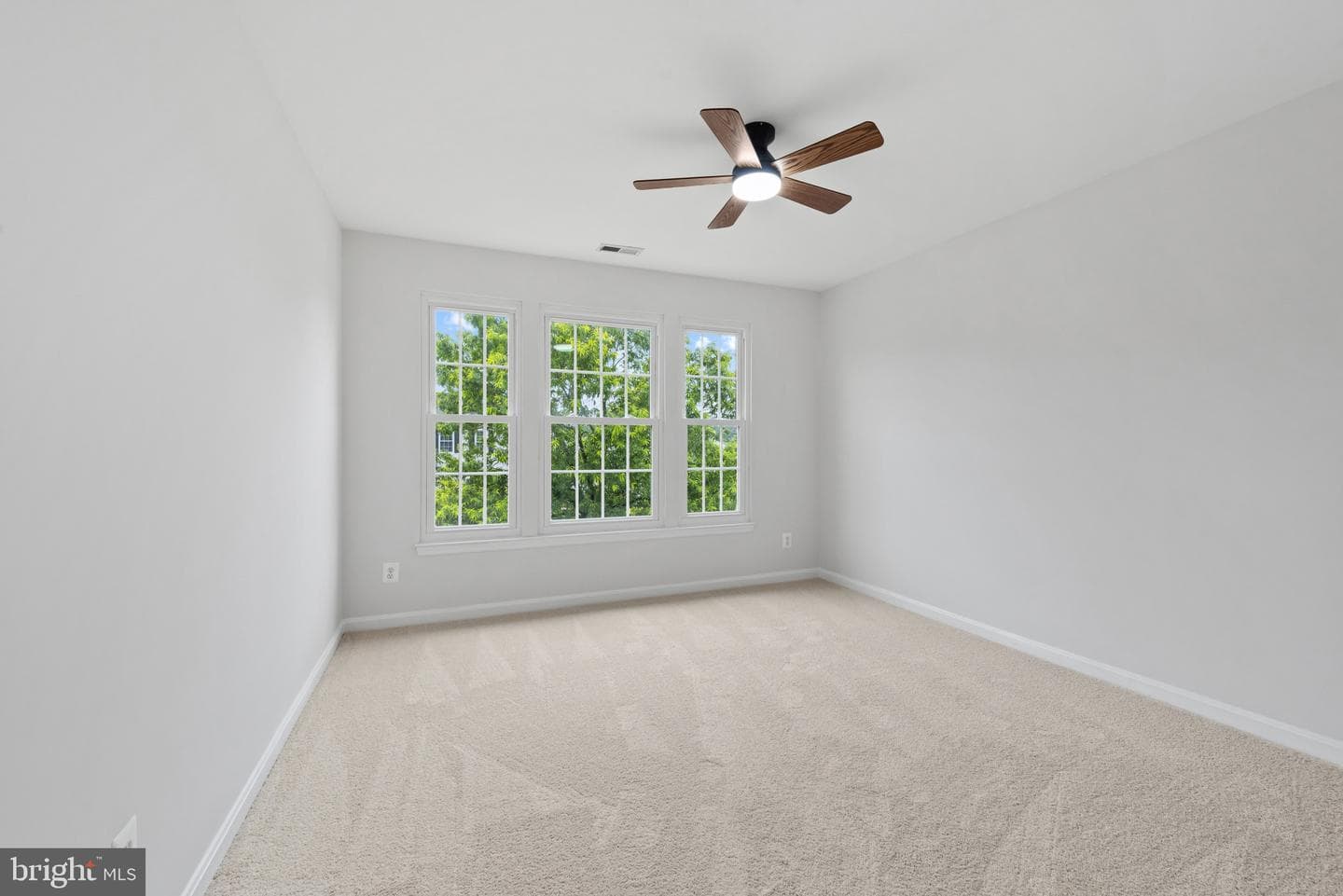 8132 Rose Haven Road photo 23